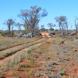 The track south to the Anne Beadell Highway