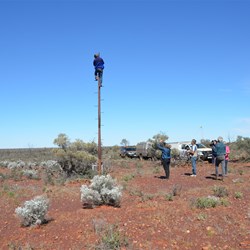 Russell just had to see what was in there up one of Towers on the Track to Totem 2
