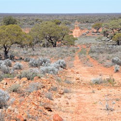 The Track to Totem 2