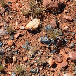 Glazed dirt at Totem 2
