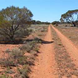On the Track to Observation Hill