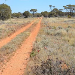On the track to Observation Hill