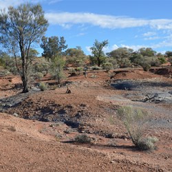 Cook's Creek area has some unique gully formations