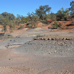 Cook's Creek Gully area