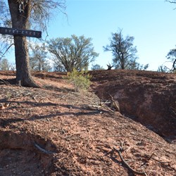 Cook's Creek Gully area