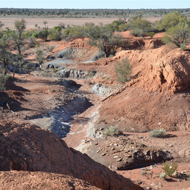 Cook's Creek Gully area