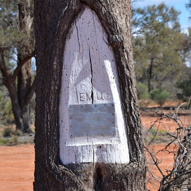 Len Beadells Emu Road Blaze Tree