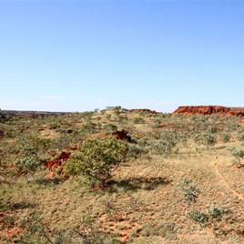 Yandagooge Expedition