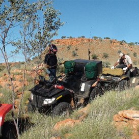 Negotiating the rough terrain