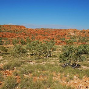 Yandagooge Expedition