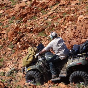 Larry negotiating a route down