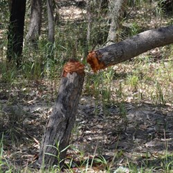 Idiots that do this spoil it for everyone else