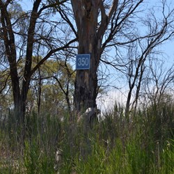 This distance marker shows that Hogwash Bend is still 350 kilometres from the Murray Mouth
