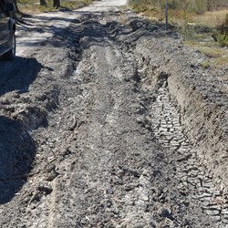 These bog ruts are very deep and would swallow my Prado