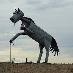 Tin Horse Highway WA