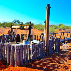 stock well near Murchison settlement WA