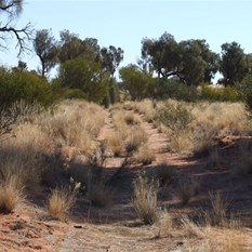 Original section of the Gary Junction