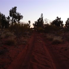 SBJT at dusk - Check out those corrugations