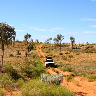 Scott and Gaby cruising the dune country