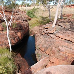 The Tarn of Auber - Giles saved