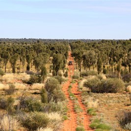 Heading in to the Oil & Gas fields
