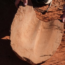 A magnificent grind stone