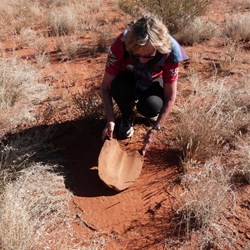 Marg's magnificent grindstone