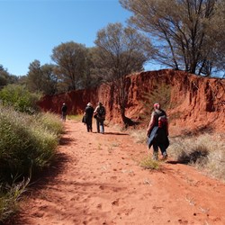 Following the creeks home.