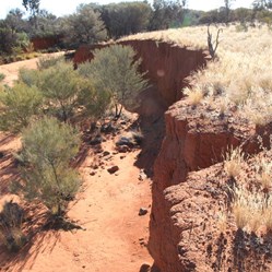 The steep creek walls - nature at work