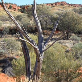 Looking across to Laycock's Hill
