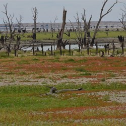 Views overlooking Lake Victoria