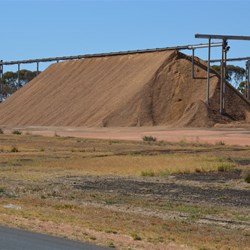 Laragon Almond processing plant