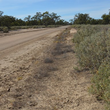 Changing road conditions on the Old Mail Road