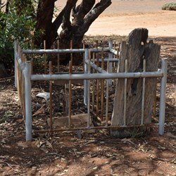The tragic grave site of a mother and 2 young children drowned in the Murray in 1910