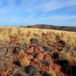 walking to the summit of Mt Ive
