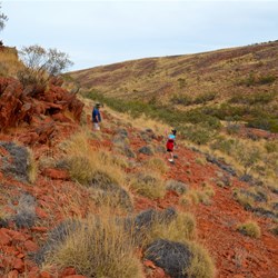 walking near the organ pipes