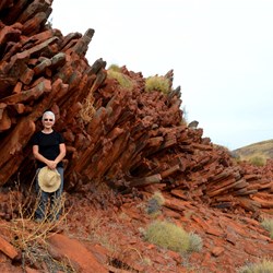 organ pipes - pillars