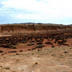 landscape at the wombat holes