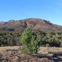 Wilpena Pound