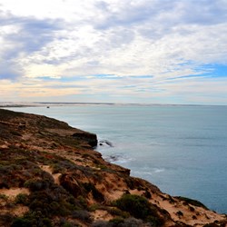 Nullarbor views