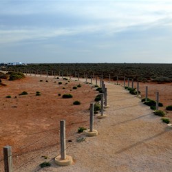 Nullarbor walk to cliff viewing area