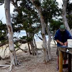 cleaning the catch at the day use area