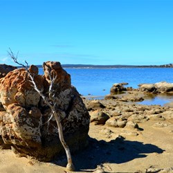 Stokes Inlet shoreline