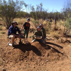 Fossicking For Garnet