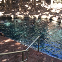 Mataranka Thermal Springs