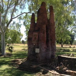 Termite Mound