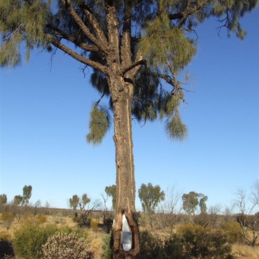 Len Beadell Marker - Sandy Blight