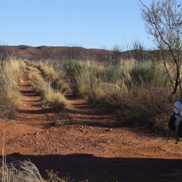 The track to Sir Frederick Range