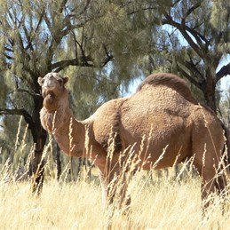 Who's a pretty boy then?