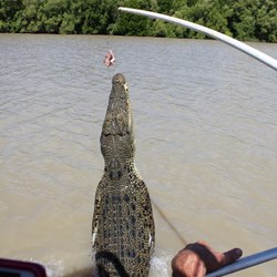 Jumping Crocs Adelaide River